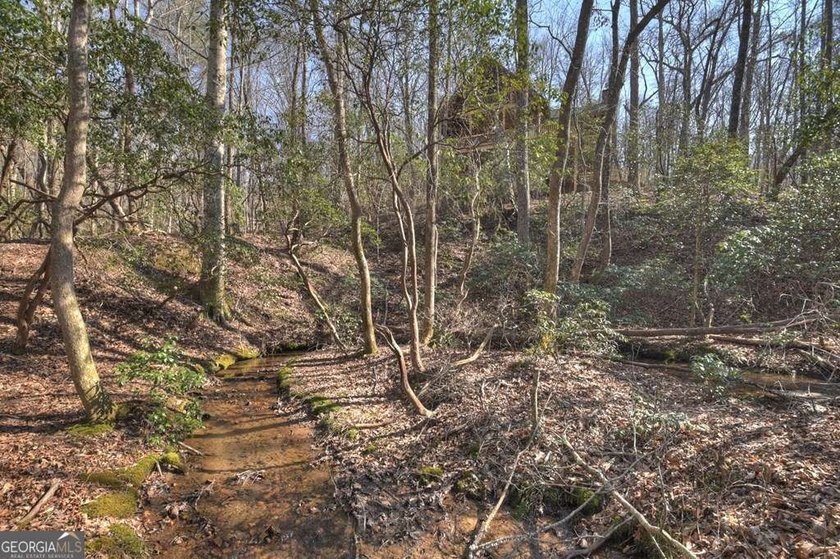 Endless Adventure Awaits where the Heart of the Cohutta - photo 19