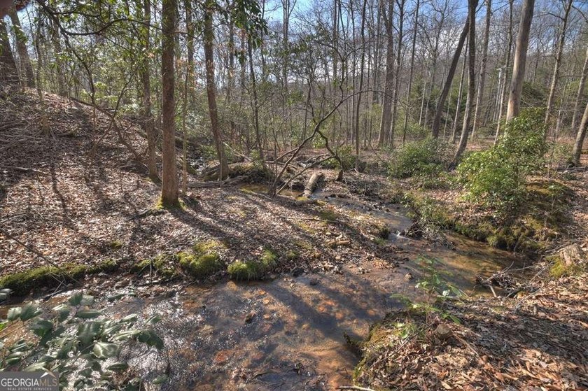 Endless Adventure Awaits where the Heart of the Cohutta - photo 21