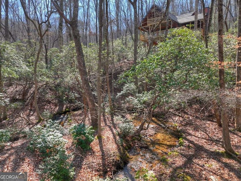 Endless Adventure Awaits where the Heart of the Cohutta - photo 28
