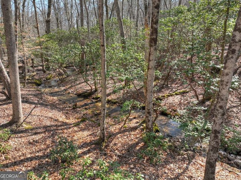 Endless Adventure Awaits where the Heart of the Cohutta - photo 30