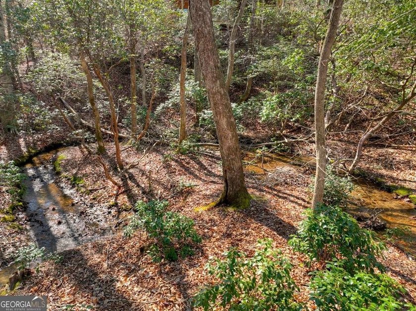 Endless Adventure Awaits where the Heart of the Cohutta - photo 32