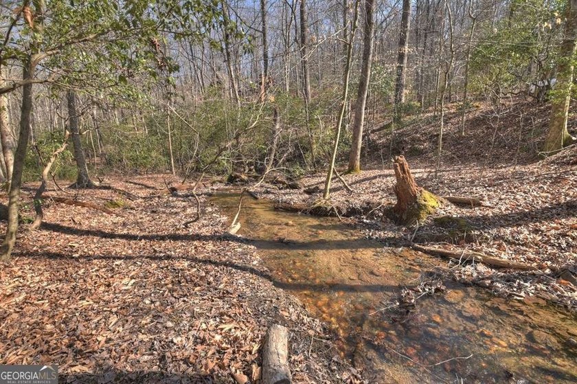 Endless Adventure Awaits where the Heart of the Cohutta - photo 34