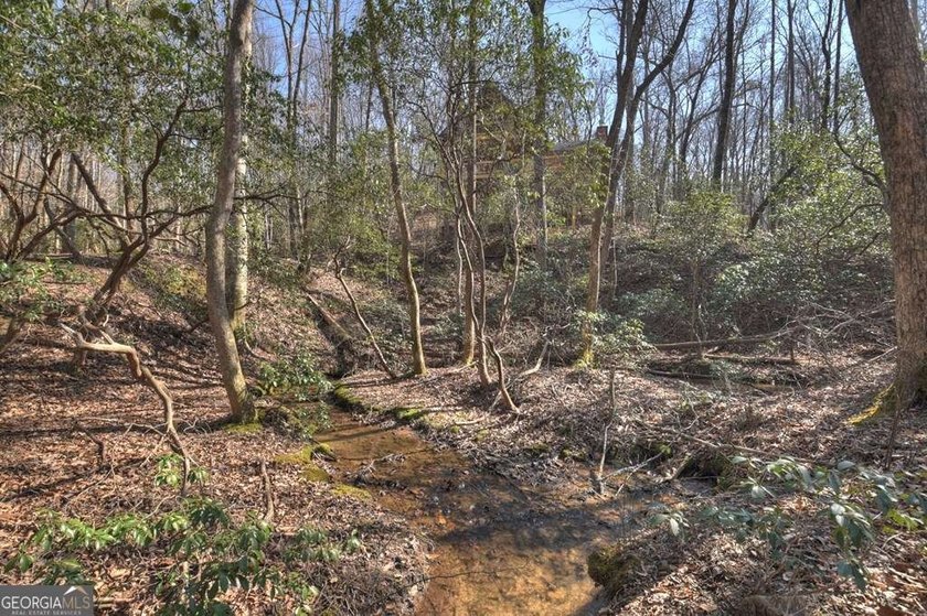 Endless Adventure Awaits where the Heart of the Cohutta - photo 38