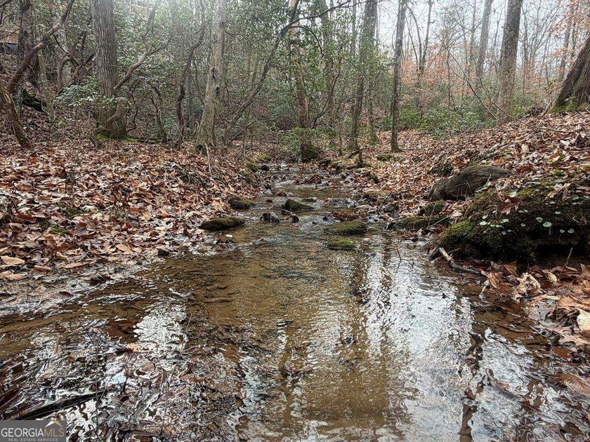 Endless Adventure Awaits where the Heart of the Cohutta - photo 43