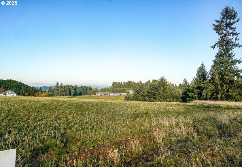Beautiful territorial and Mt. St. Helens views are all yours - photo 6