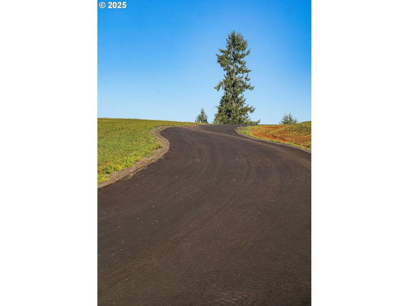 Beautiful territorial and Mt. St. Helens views are all yours - photo 7