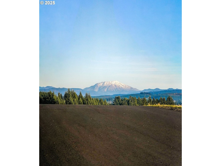 Beautiful territorial and Mt. St. Helens views are all yours - photo 8