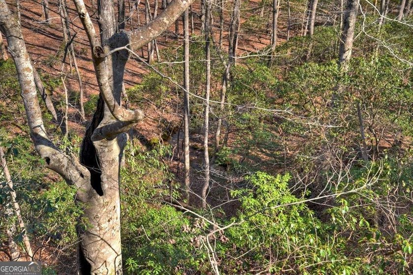 Endless Adventure Awaits where the Heart of the Cohutta - photo 49