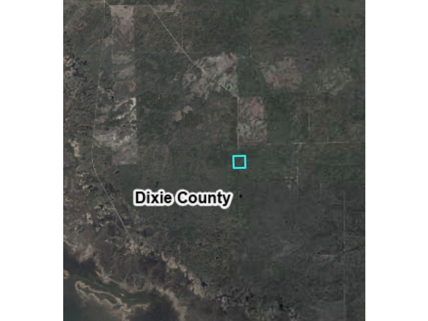 40 Acre Hunting Tract in Florida's Big Bend, located between - photo 7
