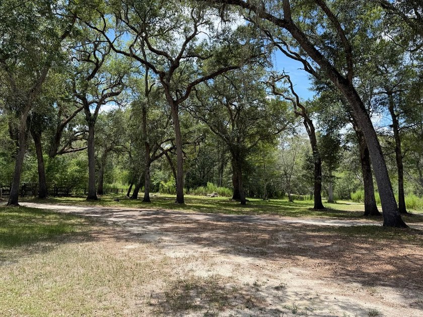 Wake up to breathtaking views of the Suwannee River from this - photo 2