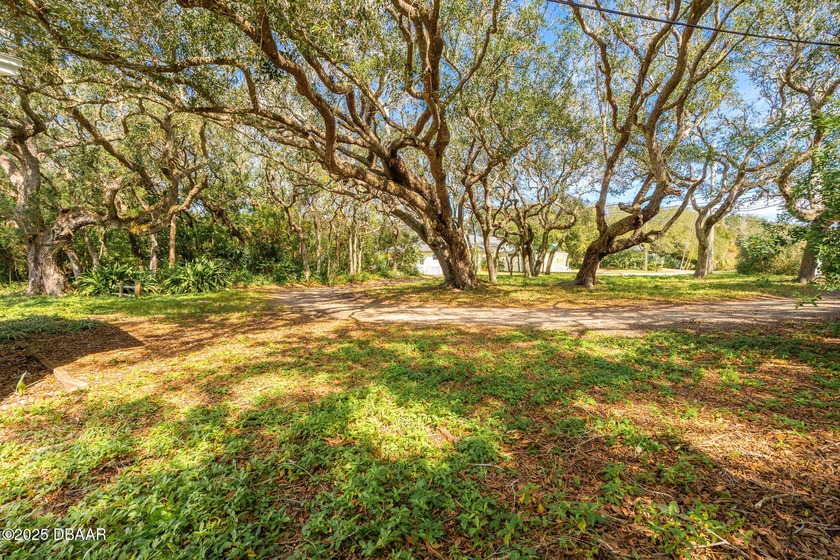 Do not miss this rare opportunity to purchase close to 1 acre of - photo 3