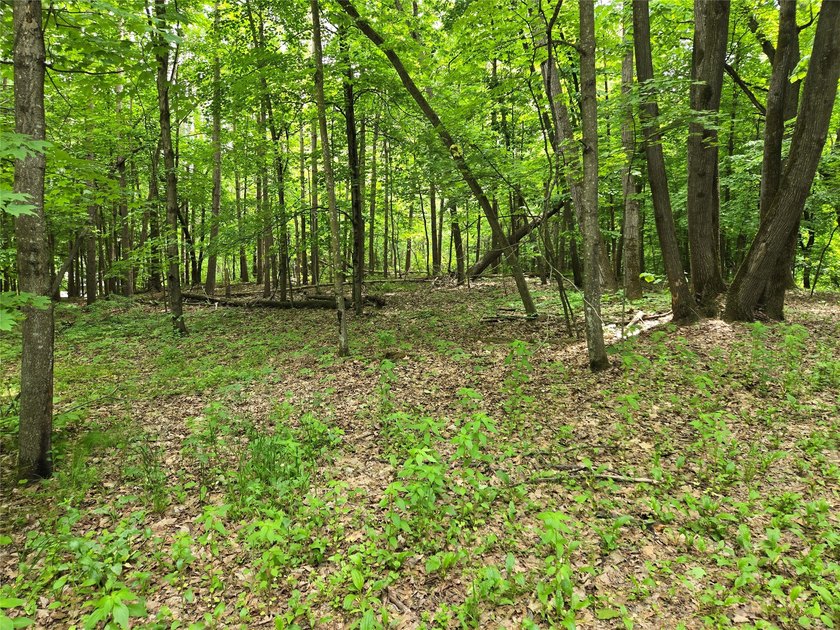 Discover the perfect blend of privacy and natural beauty with - photo 4