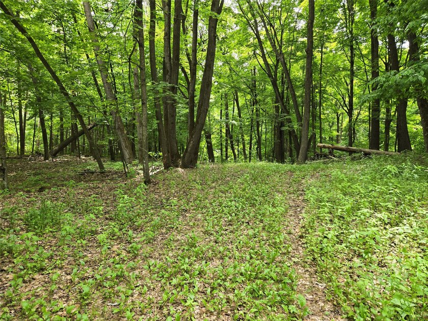 Discover the perfect blend of privacy and natural beauty with - photo 5