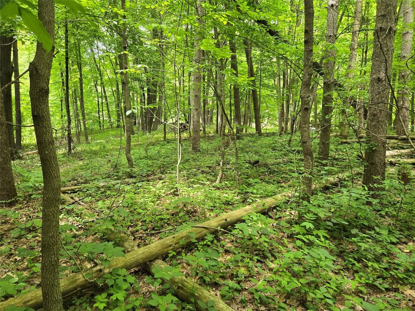 Discover the perfect blend of privacy and natural beauty with - photo 7
