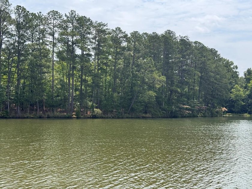 Welcome to Emerald Cove, Lake Greenwood's newest lakefront - photo 29