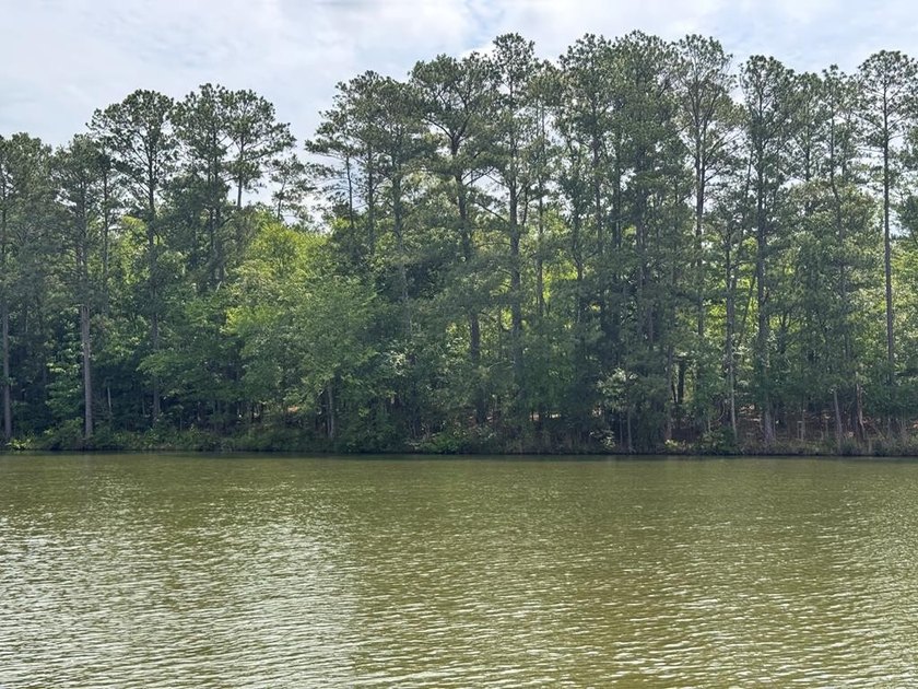 Welcome to Emerald Cove, Lake Greenwood's newest lakefront - photo 31