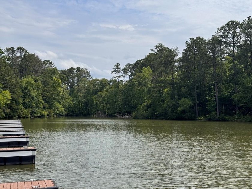 Welcome to Emerald Cove, Lake Greenwood's newest lakefront - photo 32