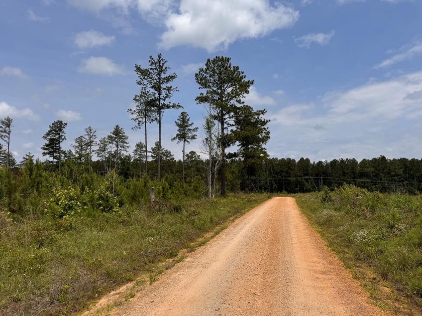 Welcome to Emerald Cove, Lake Greenwood's newest lakefront - photo 42