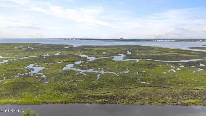 WATERFRONT LOT ON THE SOUTH SIDE OF DIAMONDHEAD. EASY ACCESS TO - photo 19
