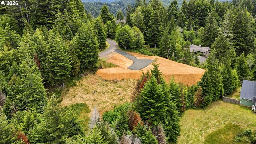 Build your dream home on this beautiful 1+ acre buildable lot! - photo 11