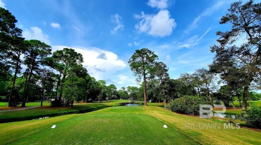 Opportunity awaits in an exceptional Gulf Shores location - photo 4