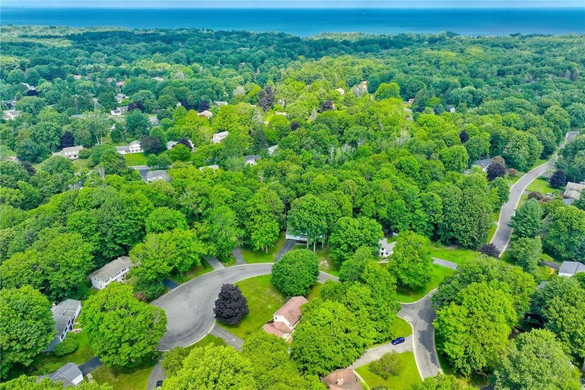 THE WOODS AT MILLCREEK! HIGHLY DESIRABLE AREA CLOSE TO WEBSTER - photo 47