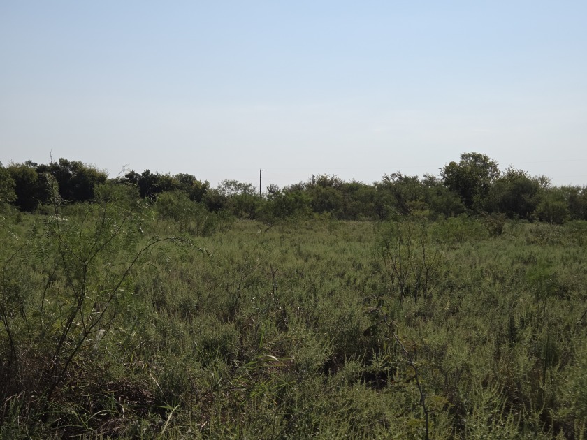 1+ Acre lot in beautiful Richland Park - photo 21