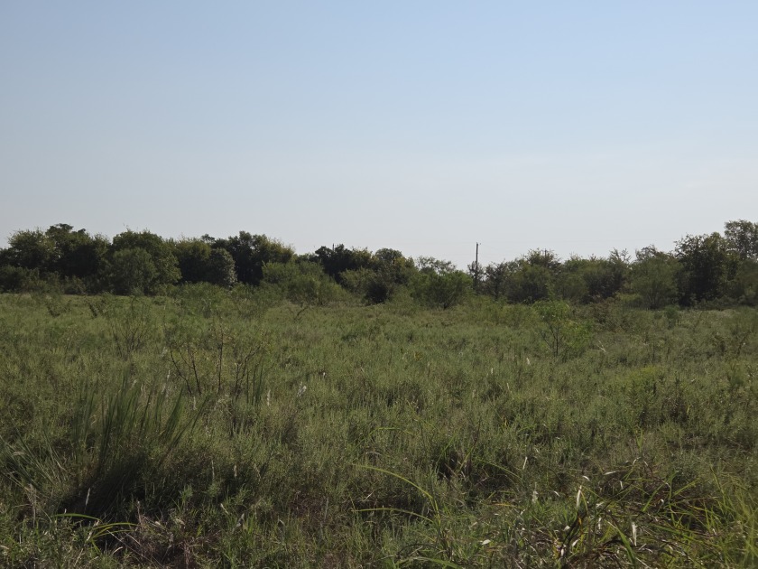 1+ Acre lot in beautiful Richland Park - photo 22
