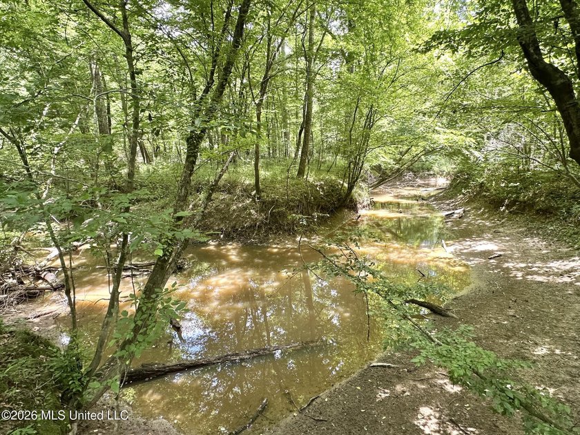+/- 95 acre timberland and hunting property in northwest Scott - photo 14
