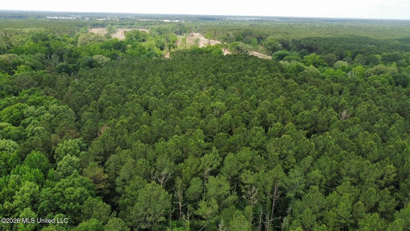 +/- 95 acre timberland and hunting property in northwest Scott - photo 20