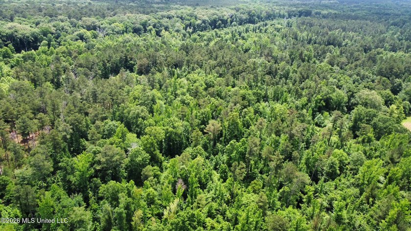 +/- 95 acre timberland and hunting property in northwest Scott - photo 22