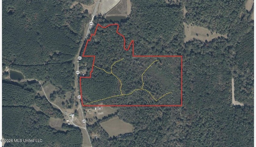 +/- 95 acre timberland and hunting property in northwest Scott - photo 24