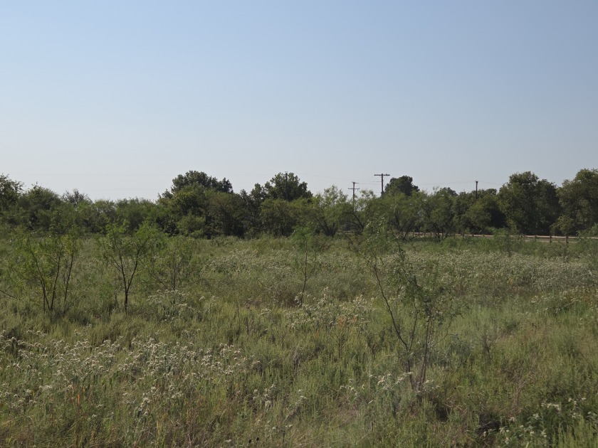 1+ Acre lot in beautiful Richland Park - photo 20