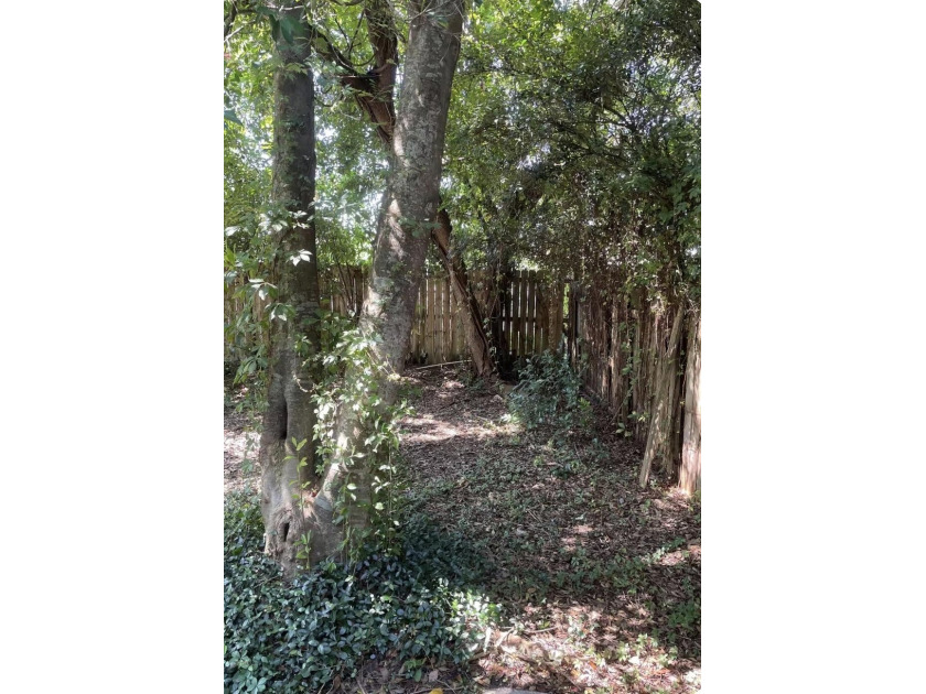 Charming and ideally located condominium in the heart of Gulf - photo 4