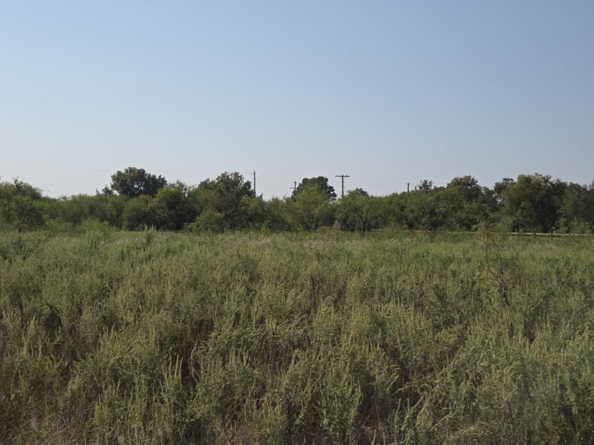1+ Acre lot in beautiful Richland Park - photo 18