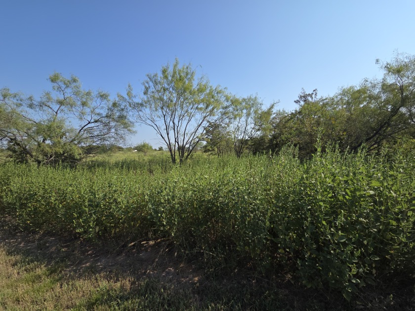 1+ Acre lot in beautiful Richland Park - photo 3