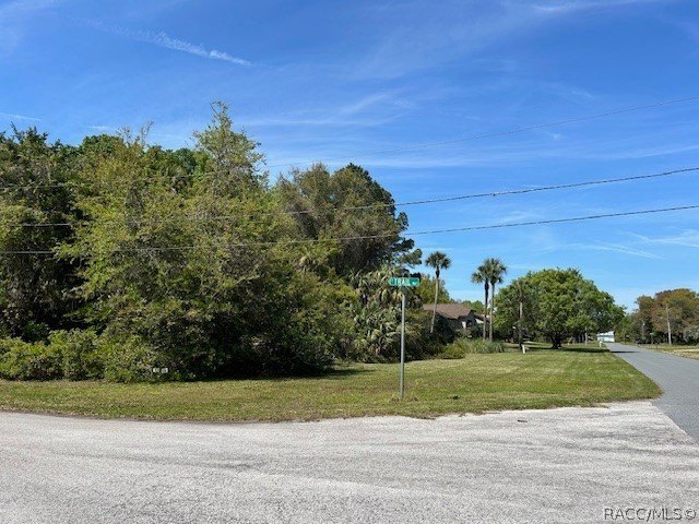 Corner lot available! Come build across the street from state - photo 4
