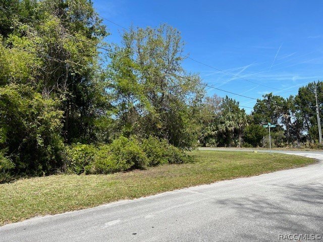 Corner lot available! Come build across the street from state - photo 5