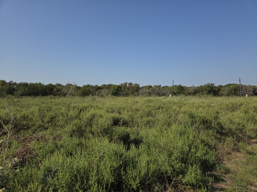 1+ Acre lot in beautiful Richland Park - photo 32