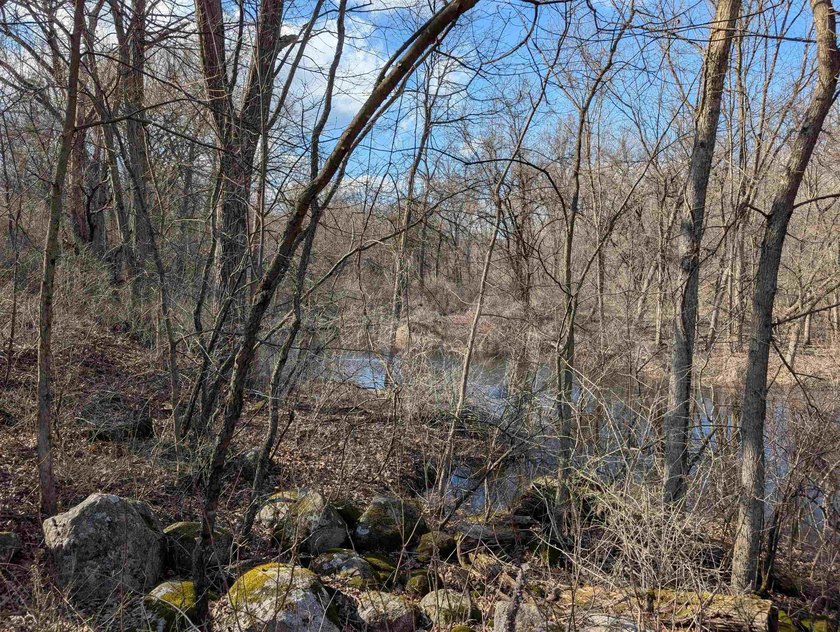 Adjacent Lots - Parcel#211.101 &amp; 211.511 being sold together - photo 15
