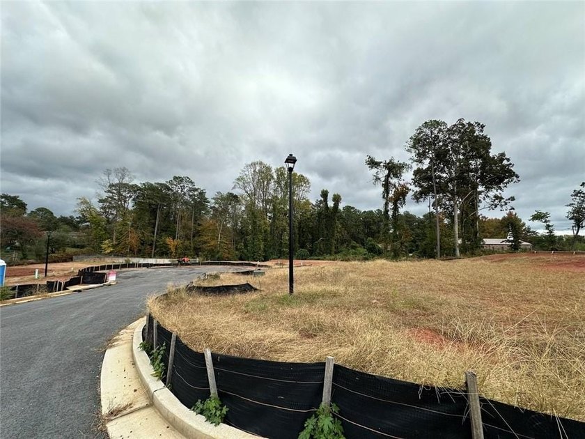 This is a developed residential lot opportunity in Atlanta - photo 7