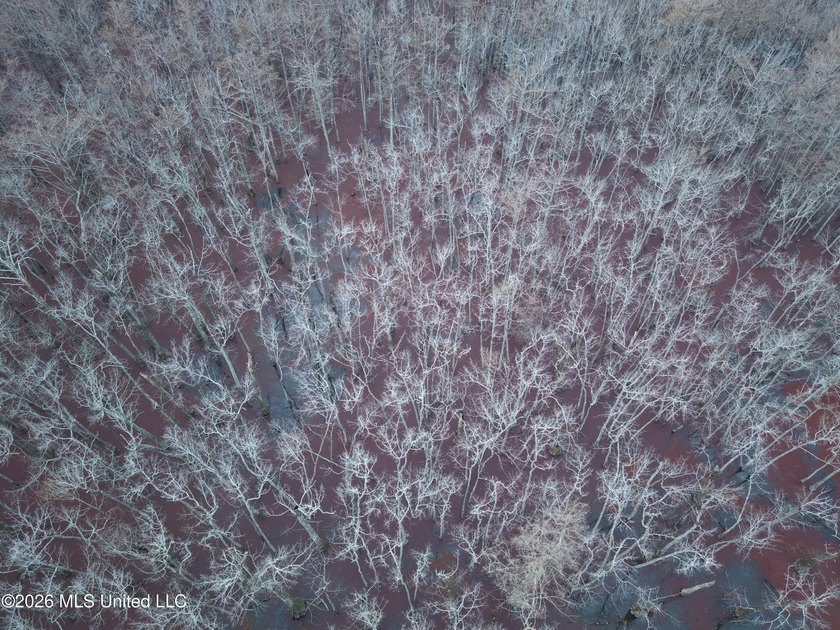If you've been looking for a true waterfowl setup, this 37+/- - photo 11