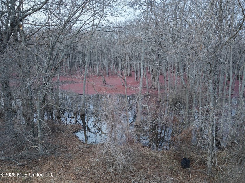 If you've been looking for a true waterfowl setup, this 37+/- - photo 13