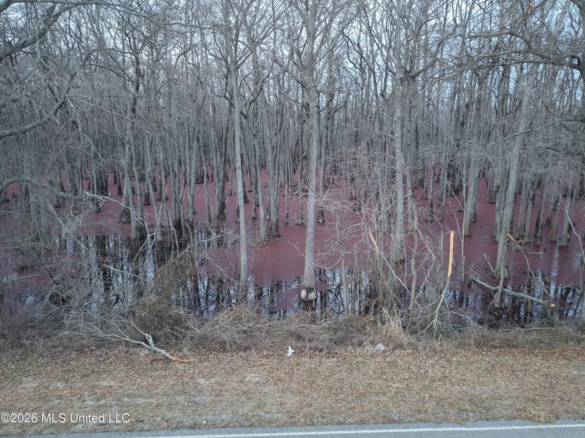 If you've been looking for a true waterfowl setup, this 37+/- - photo 14