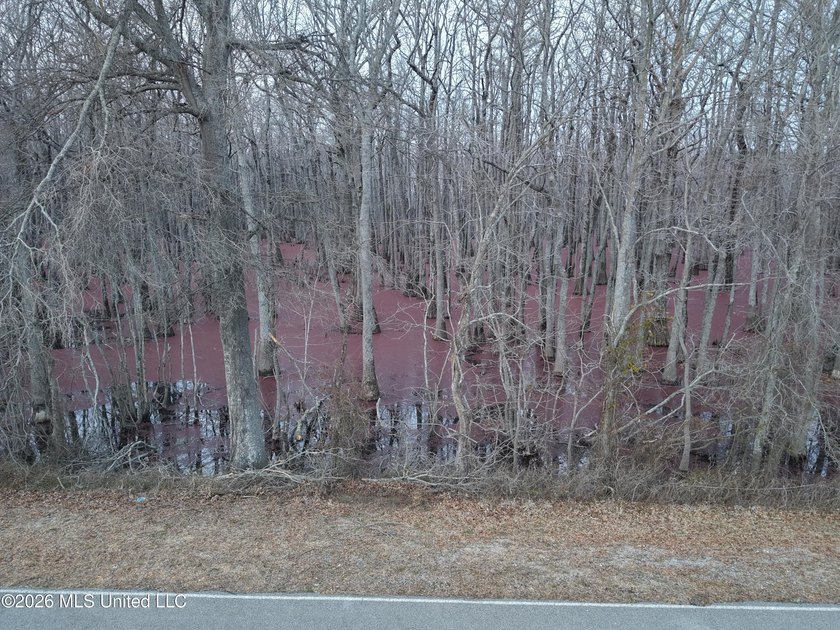 If you've been looking for a true waterfowl setup, this 37+/- - photo 15