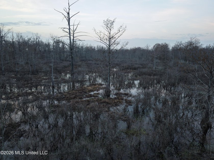 If you've been looking for a true waterfowl setup, this 37+/- - photo 16