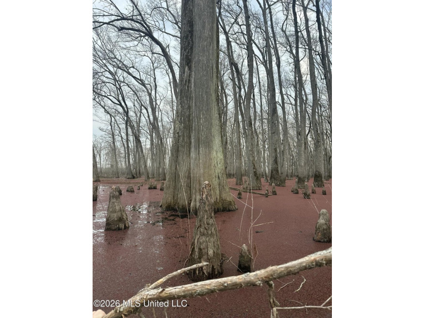If you've been looking for a true waterfowl setup, this 37+/- - photo 18