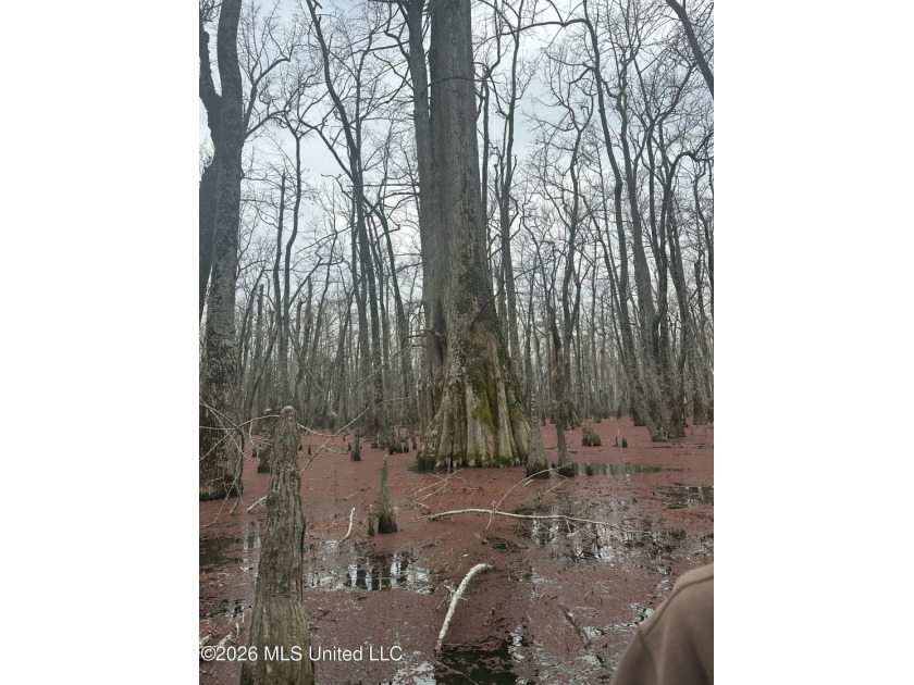 If you've been looking for a true waterfowl setup, this 37+/- - photo 19