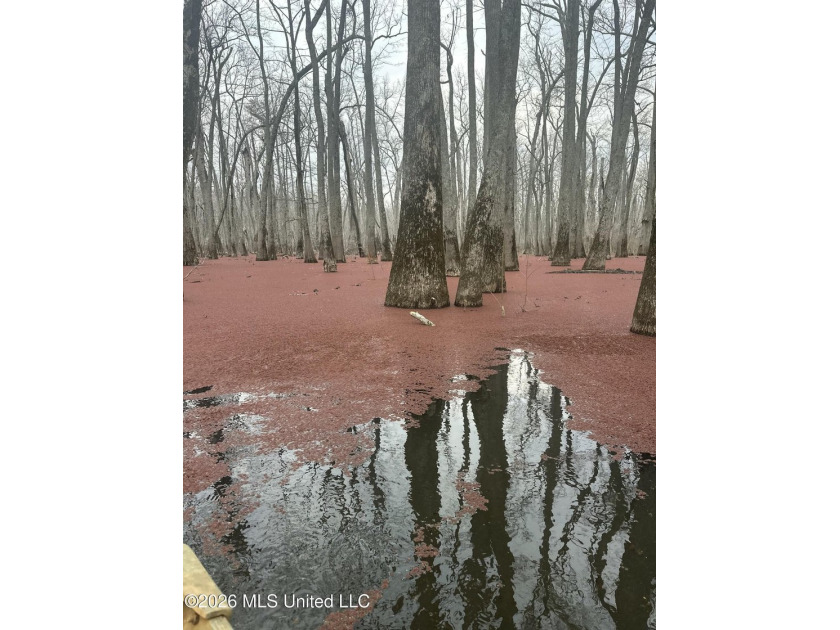 If you've been looking for a true waterfowl setup, this 37+/- - photo 20