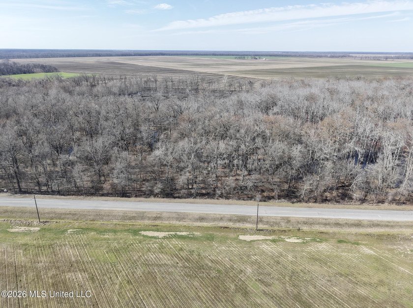 If you've been looking for a true waterfowl setup, this 37+/- - photo 22